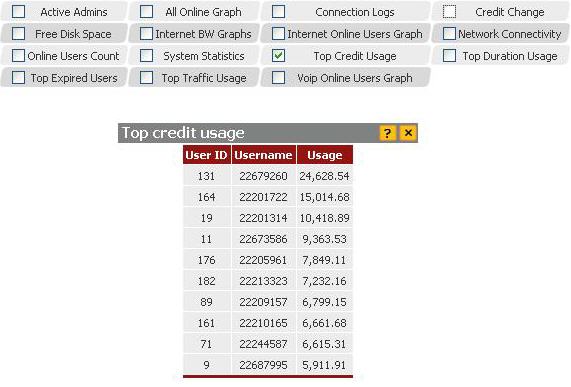 Top Credit Usage's table In home page.jpg