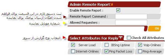 Admin Remote Report.jpg