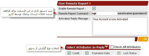 User Remote Report.jpg